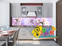 ������������ ������� ��� ����� ������