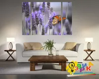 ��������� ������� ������� � �������� �� ���� ������