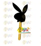 ���������� �������� �� ������� Playboy