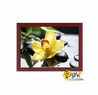 Фото: Постеры для интерьера Орхидея