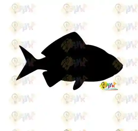������� ����� �������� ����