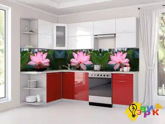 ������ ��� ����� �� �������� �����